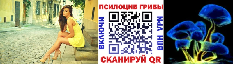 Галлюциногенные грибы GOLDEN TEACHER  Бакал 